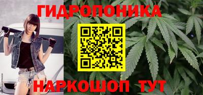 сатива Жуковский