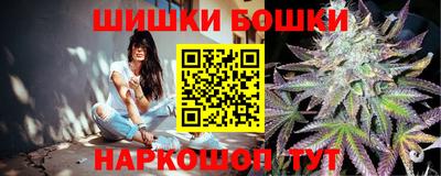 спиды Дубна