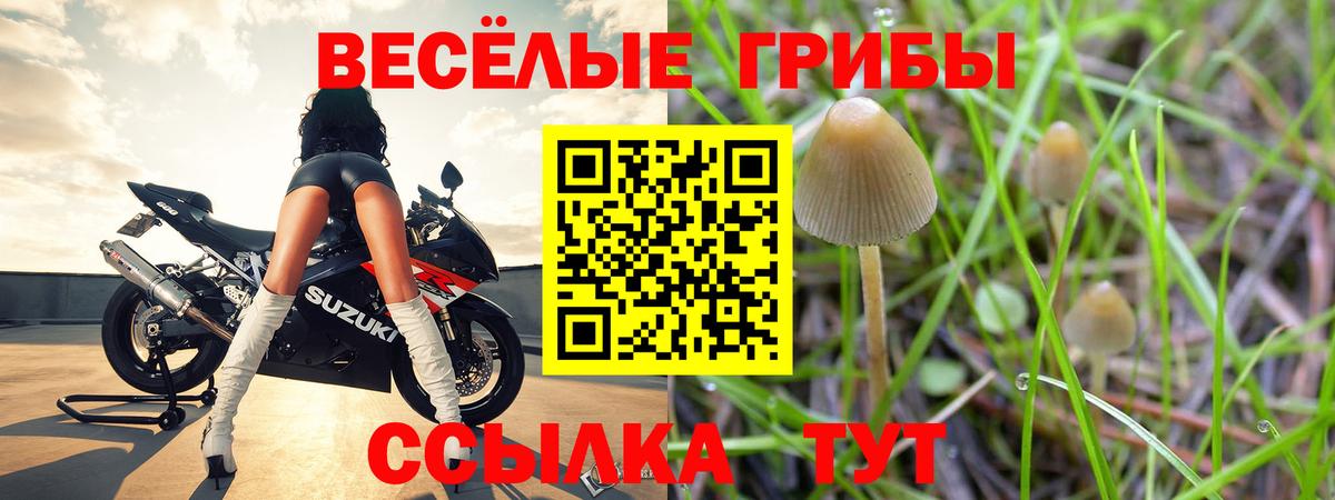 Сергиев Посад  Галлюциногенные грибы Psilocybine cubensis  Вход с VPN  Псилоцибиновые грибы MAGIC MUSHROOMS 