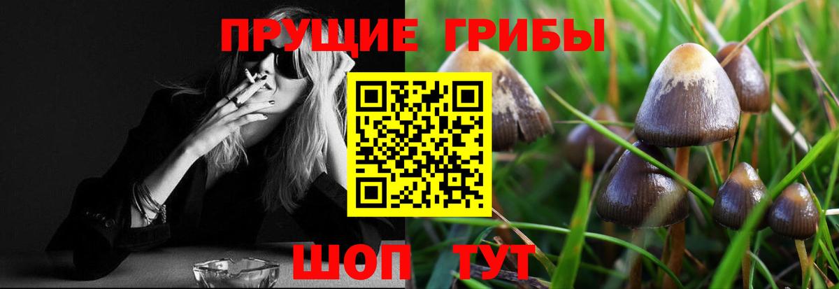 Псилоцибиновые грибы Magic Shrooms Сергиев Посад